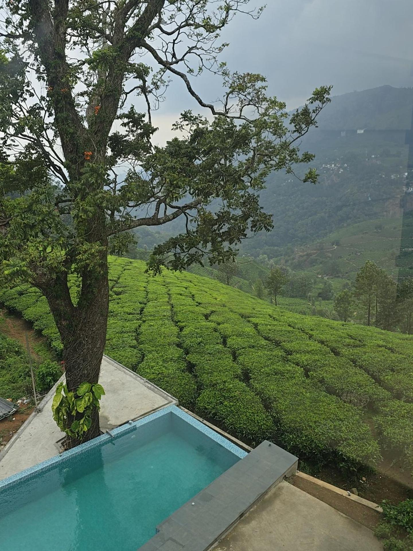 Beauty Spot Munnar Hotel Luaran gambar